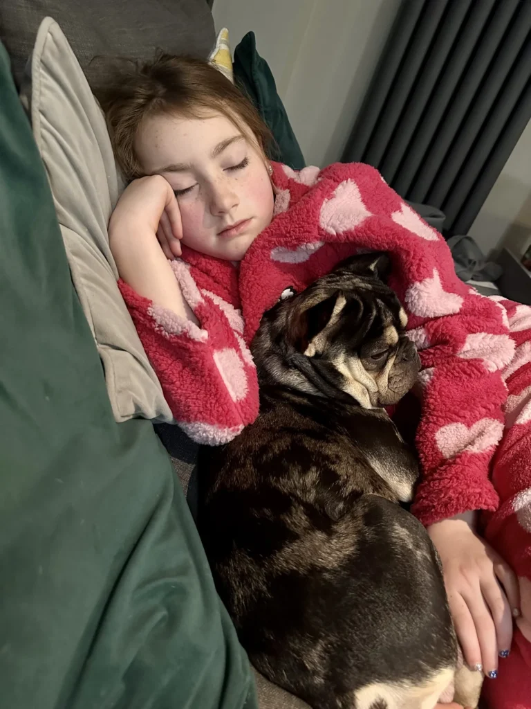 Welcoming Furry Friends: Your Ultimate Guide to Pet-Friendly Stays at Lakeview Airbnb